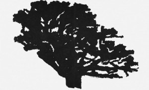 croquis en extérieur