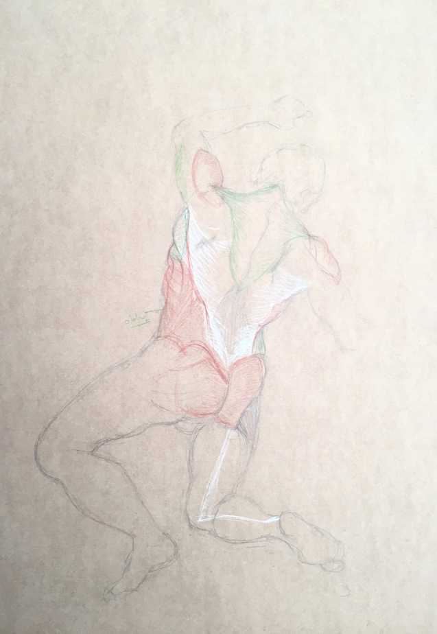 cours de morphologie