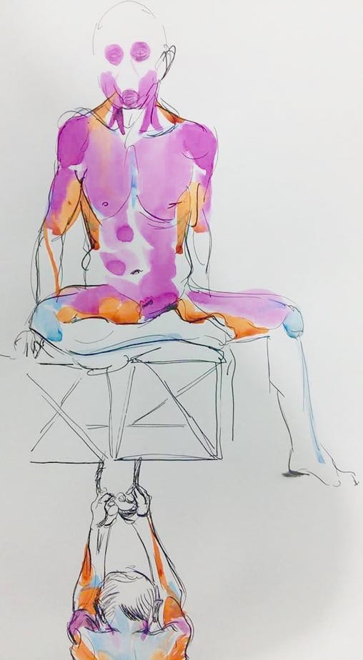 cours de morphologie
