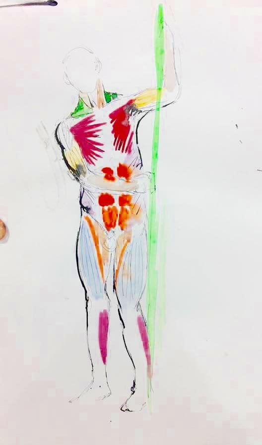 cours de morphologie