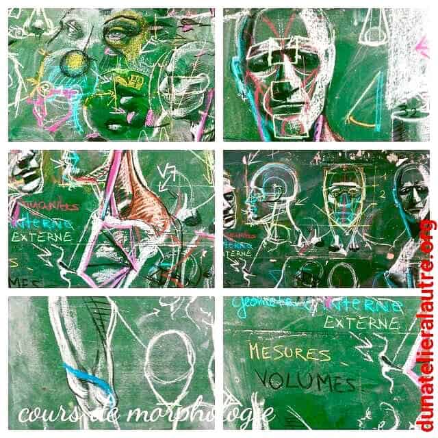 cours de morphologie