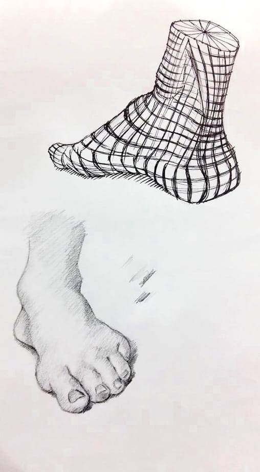 cours de morphologie