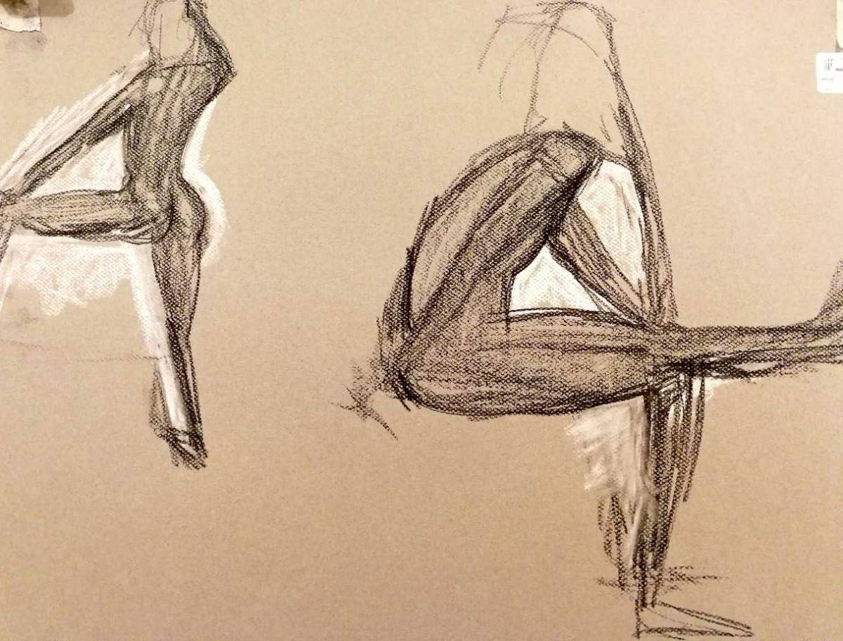 cours de dessin débutant