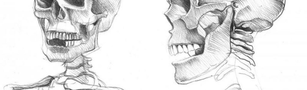 Etude_du_crâne-Copie les valeurs au crayon